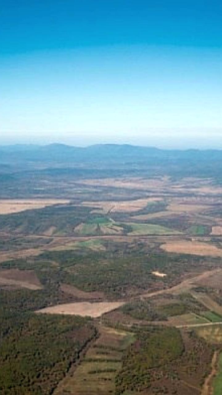 В 2025 году почти 22 тысячи россиян получили дальневосточный гектар