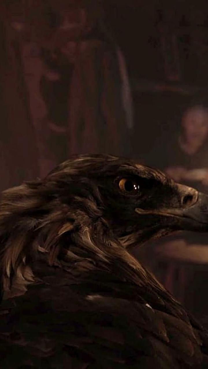 Якутские фильмы получили сертификат 'Сделано в России' для выхода на международный рынок