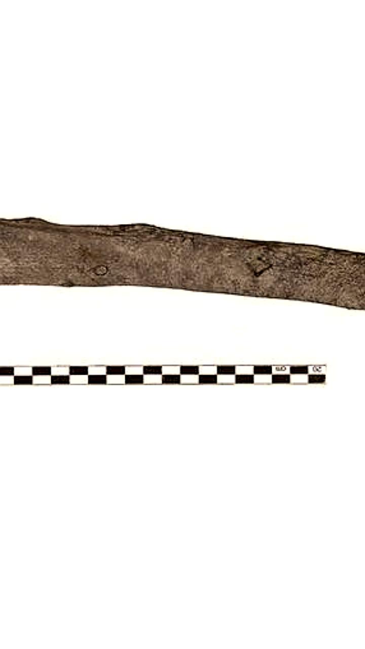 В Греции найдены древнейшие деревянные орудия труда возрастом 430 тысяч лет