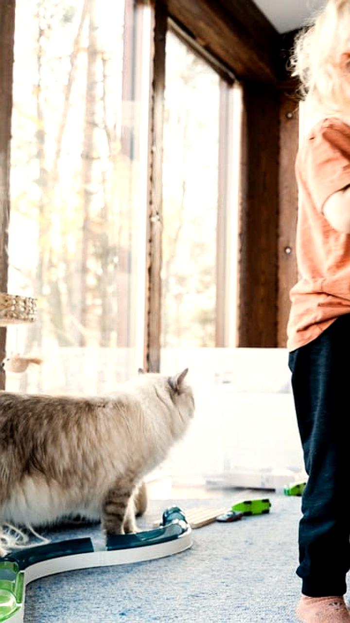 Предложение о расширении декретного отпуска в России: новые меры поддержки для матерей и семей