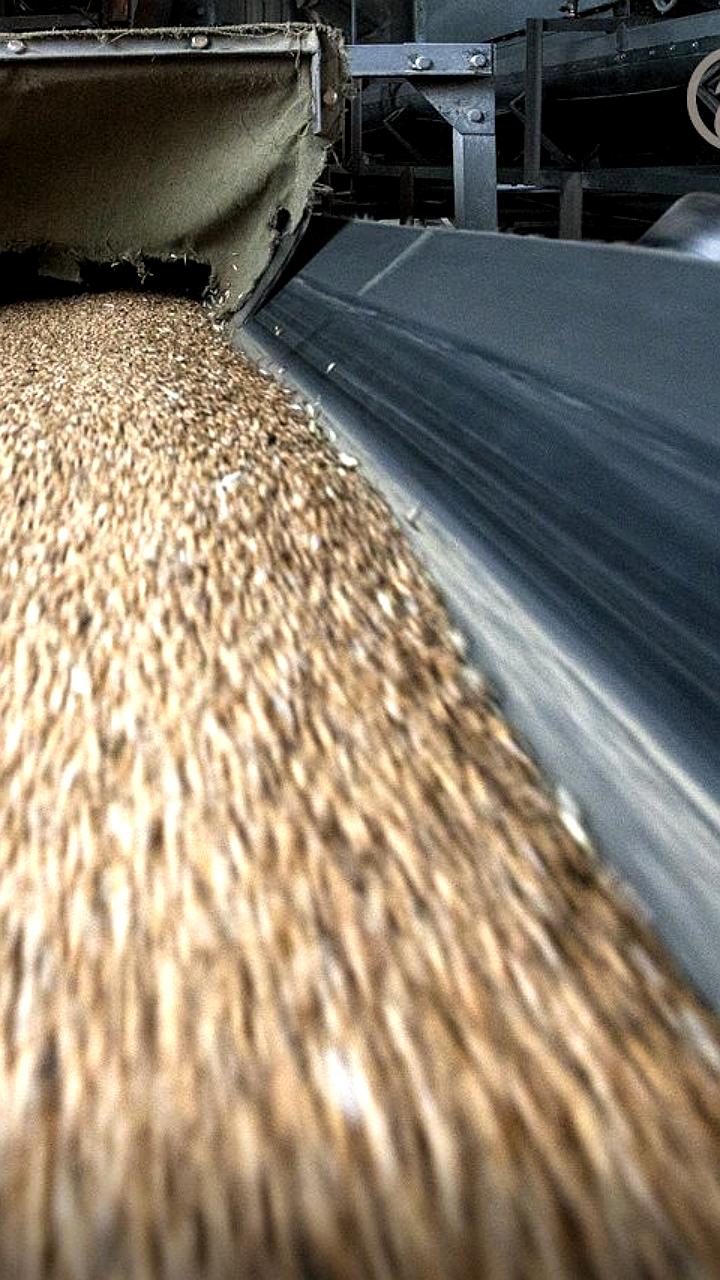 Рост цен на аренду зерновозов и изменение маршрутов поставок зерна в 2026 году