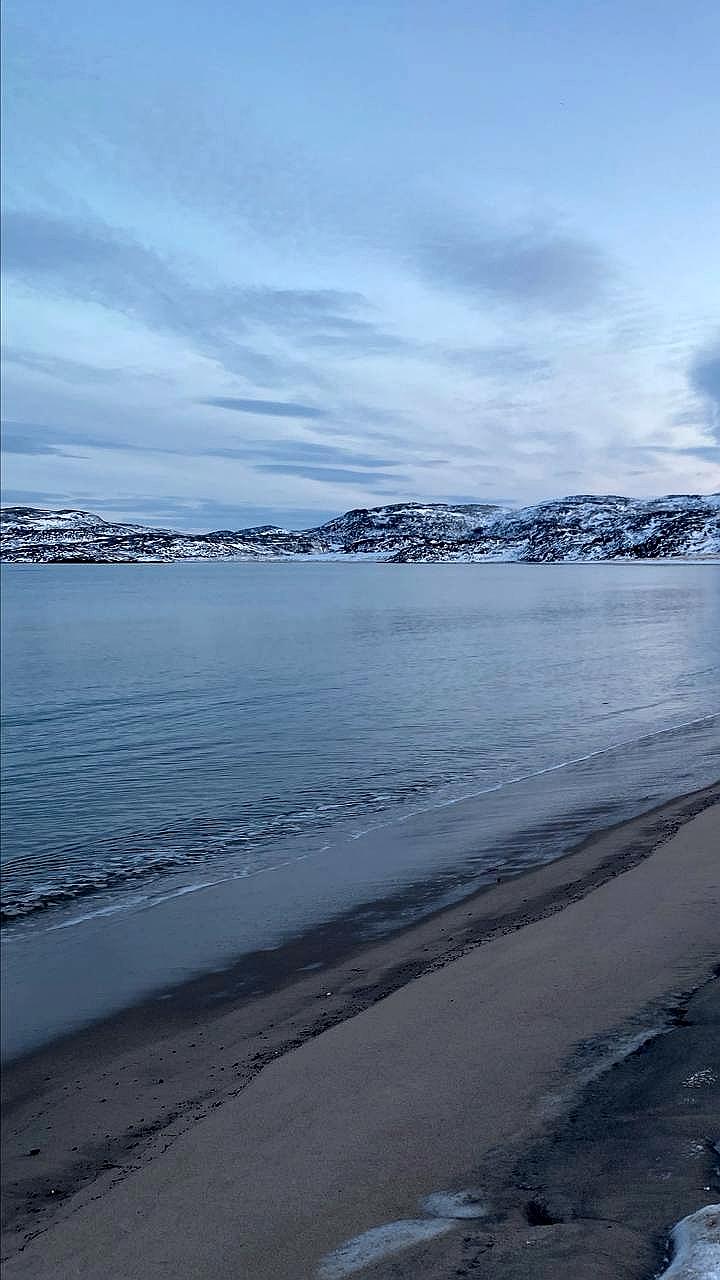 В Мурманской области утвердили новые правила безопасного наблюдения за морскими животными