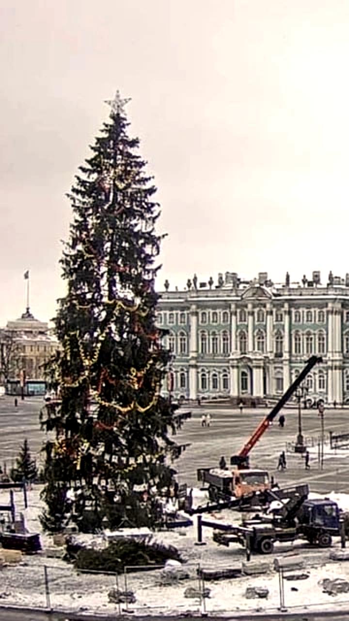 Демонтаж новогодней ёлки на Дворцовой площади в Санкт-Петербурге