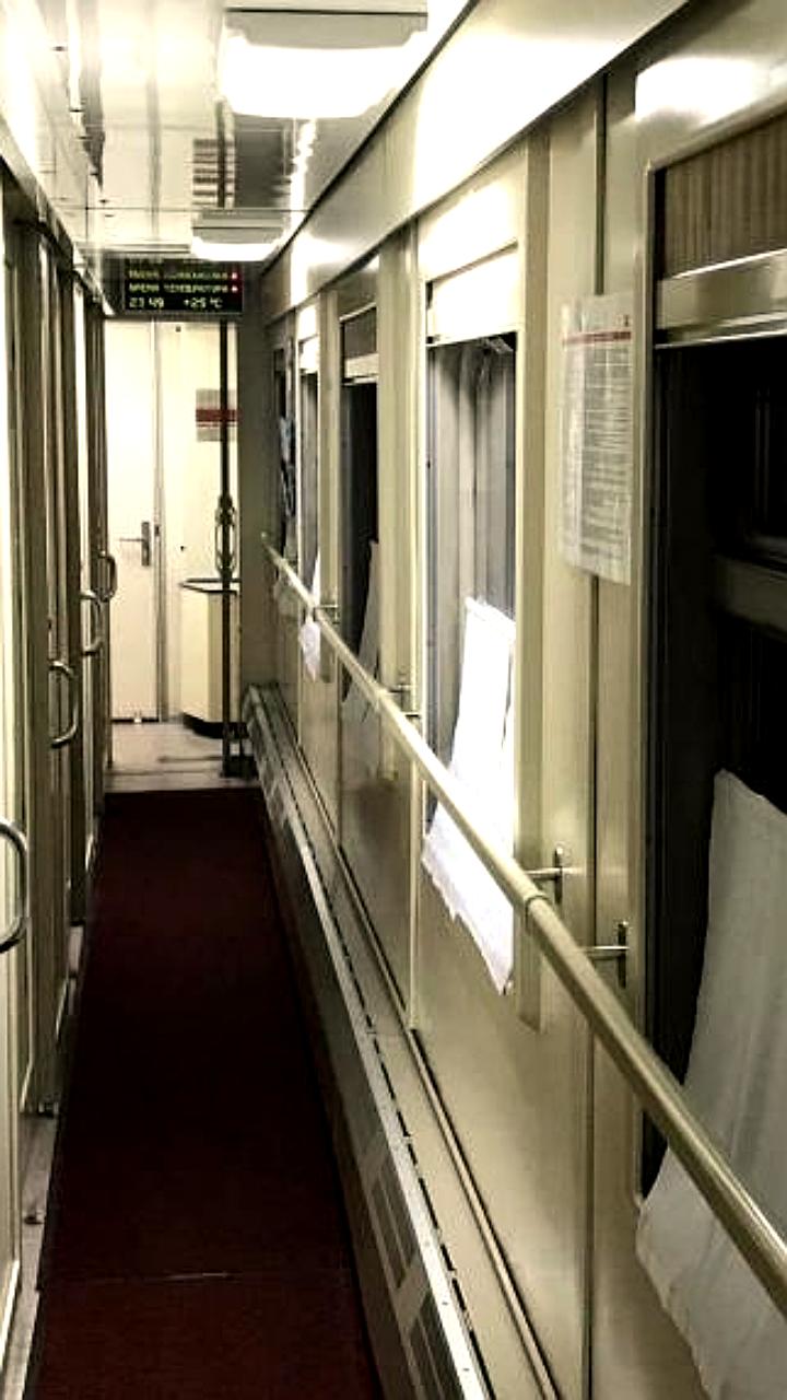 Горьковская и ВСЖД: более 3 тысяч домашних животных успешно перевезены без владельцев