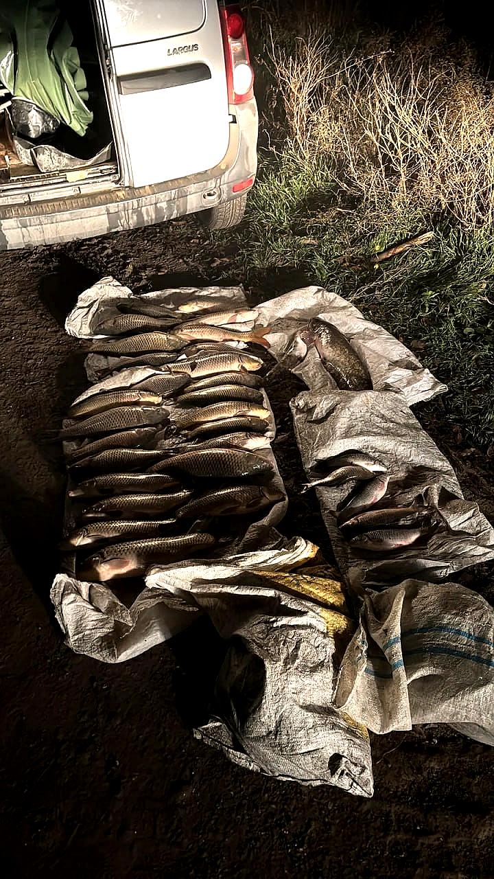 Два рыбака задержаны за незаконный вылов на Кумо Манычском канале