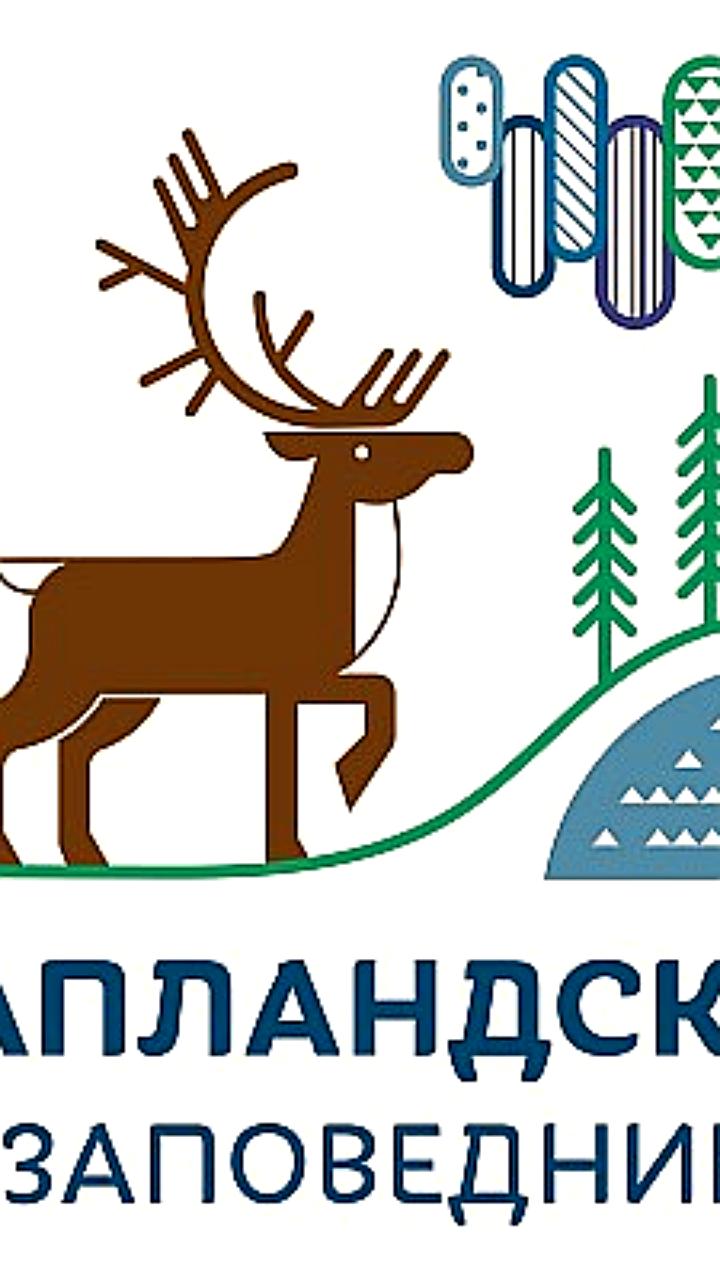 Лапландский заповедник усиливает мониторинг оленей с помощью дронов