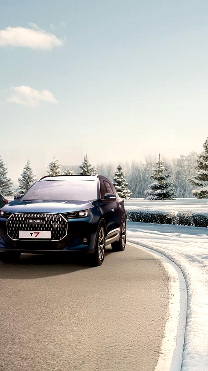 Tenet занимает лидирующие позиции на российском авторынке с продажами 33 484 автомобилей в 2025 году