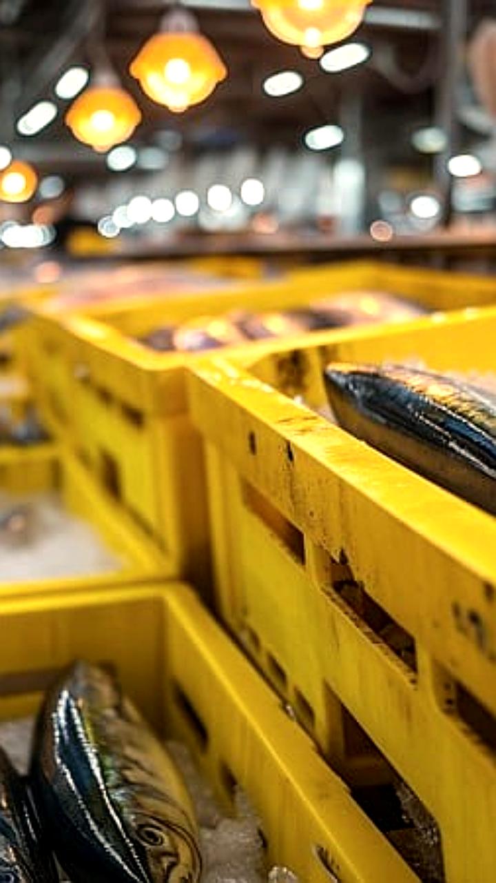 МКС и РСХБ Лизинг подписали соглашение о лизинге для рыбопромысловых компаний