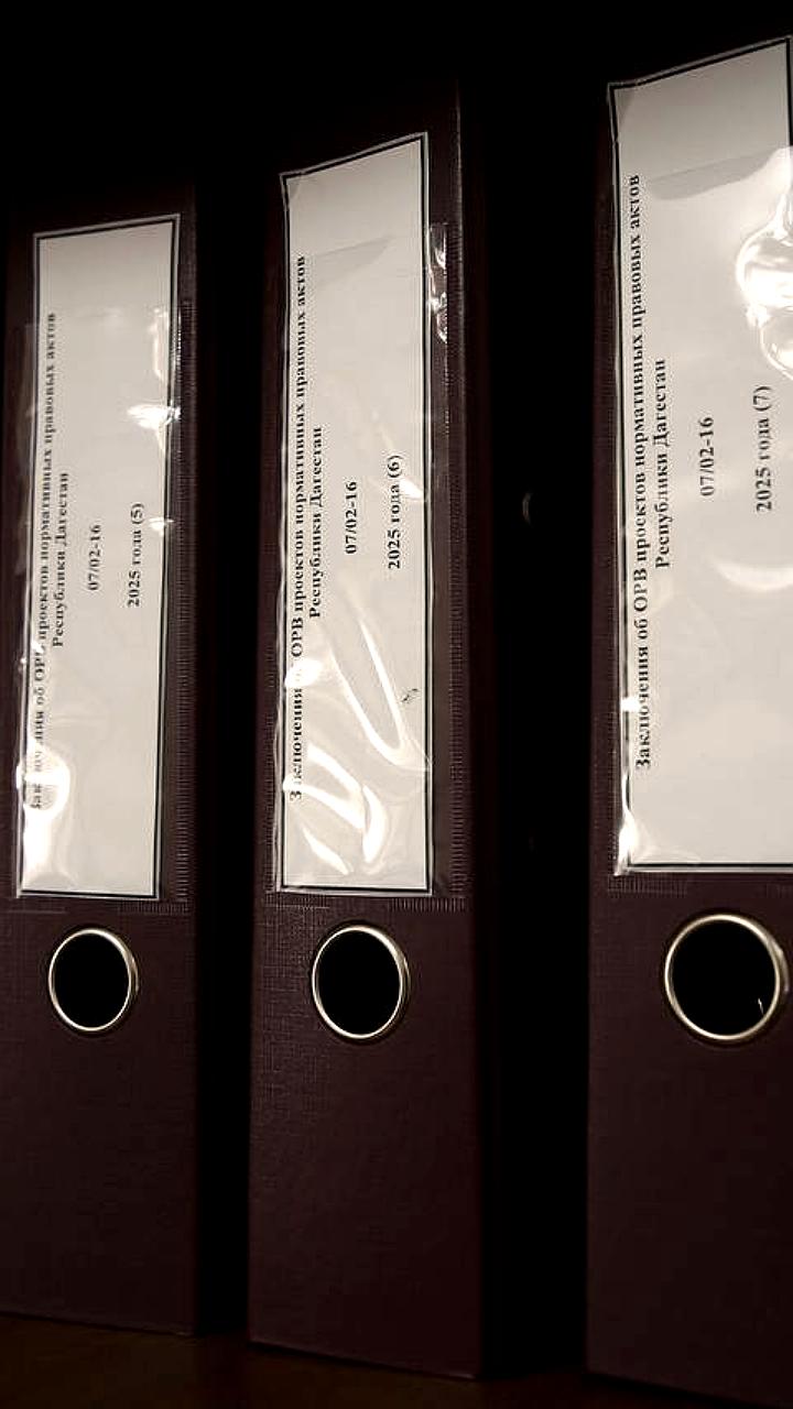 Дагестан улучшает инвестиционный климат и систему госуслуг через новые законы и автоматизацию данных