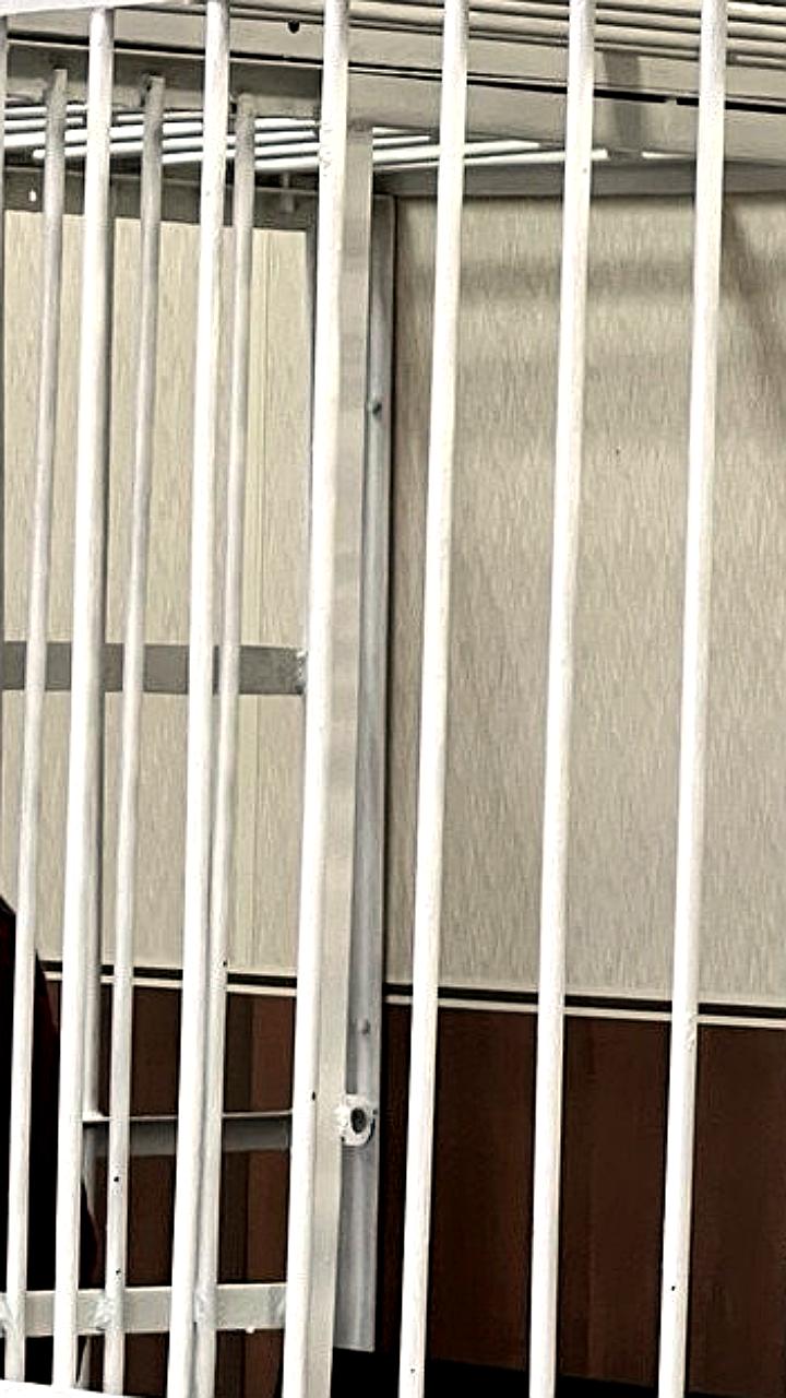 Суд в Нижнем Тагиле приговорил Сергея Березовича к 20 годам за убийство 13-летней девочки 18 лет назад