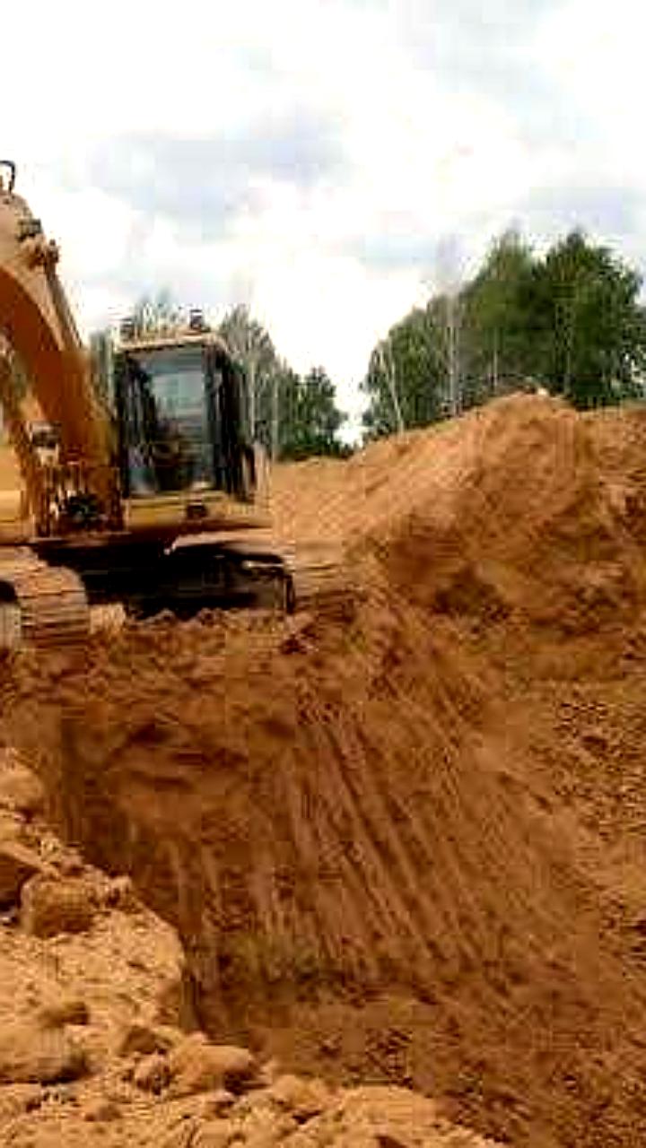 Суды удовлетворяют иски прокуратуры о рекультивации лесных участков в Владимире и Самаре