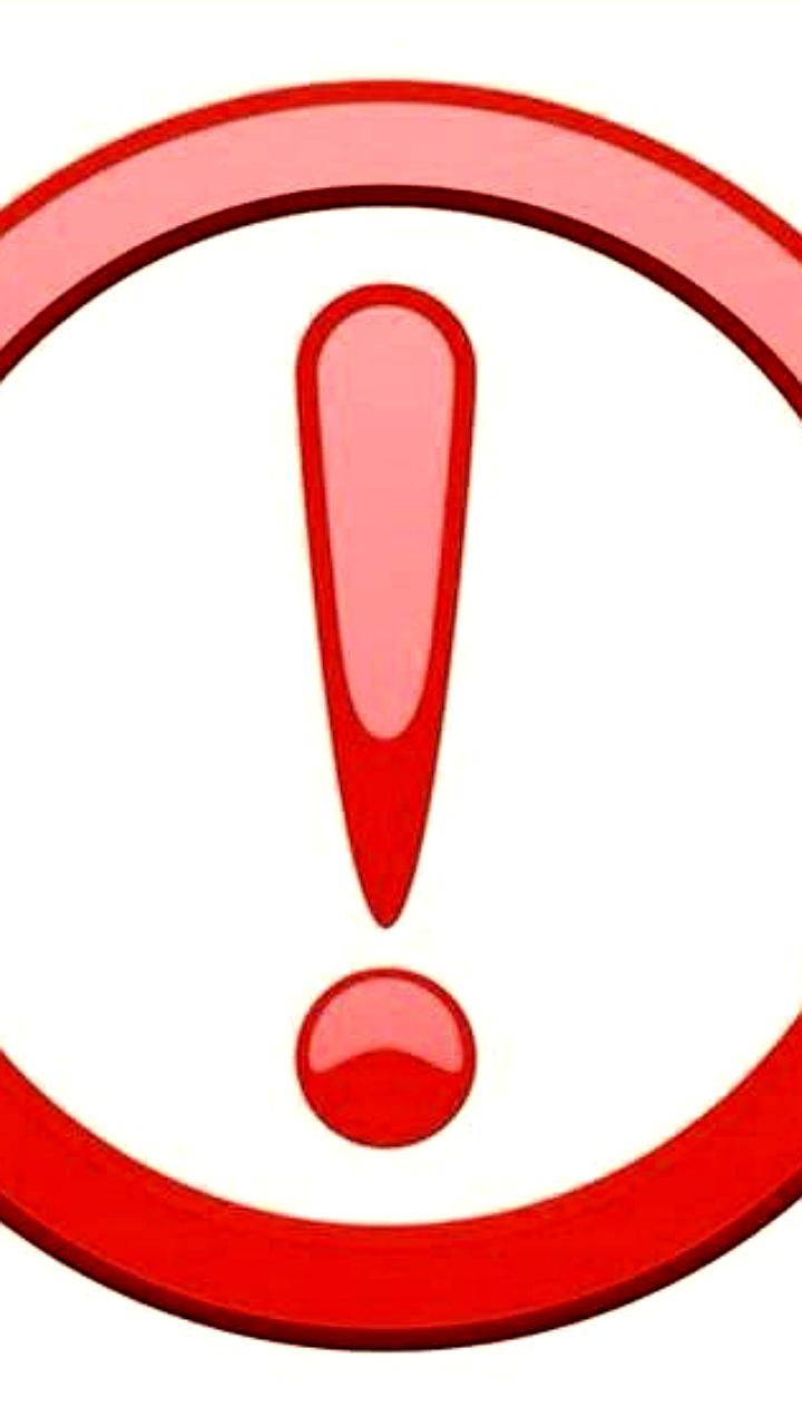 Установлены сроки охоты в Воронежской области и завершение сезона на Кубани