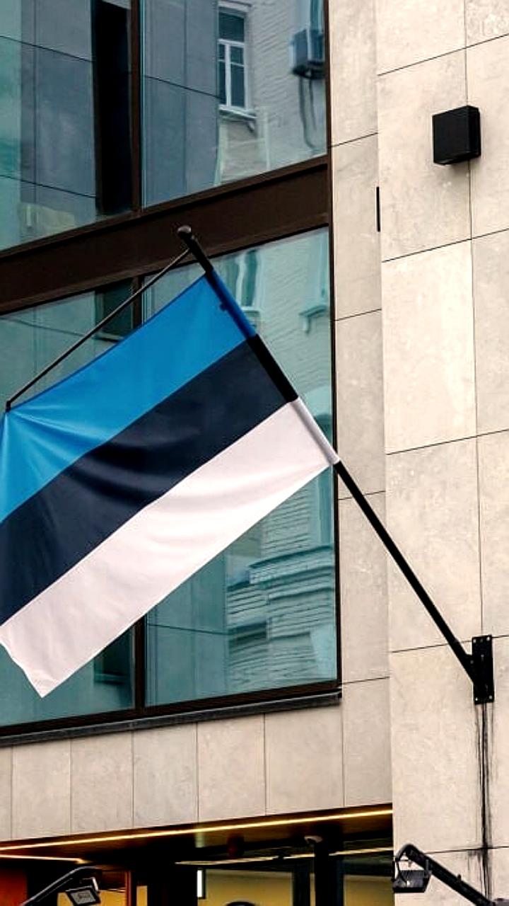 Эстония ограничивает покупку недвижимости россиянами и белорусами без ВНЖ