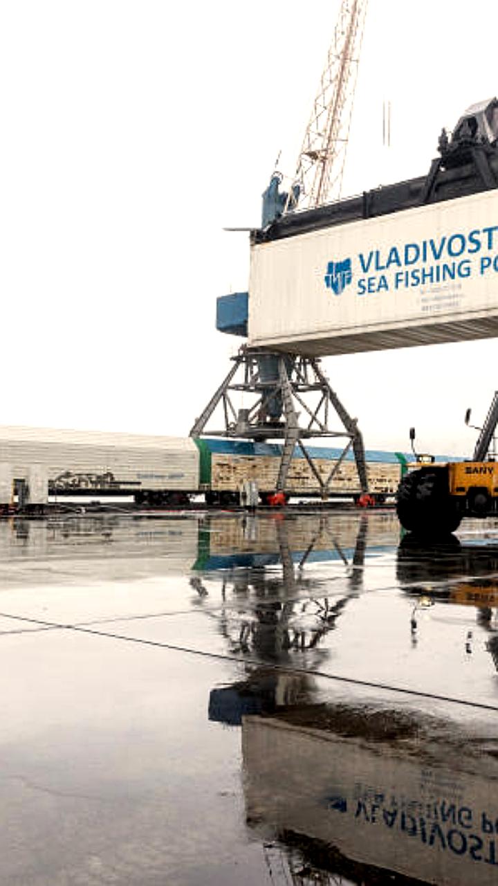 Рост рыбных уловов в Приморье: рекордные показатели и увеличение грузооборота