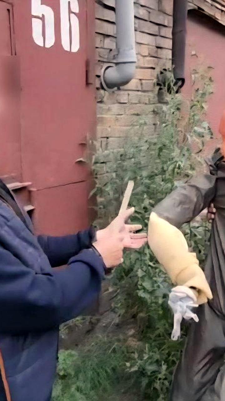 В Кингисеппе и Чебоксарах произошли убийства, задержаны подозреваемые