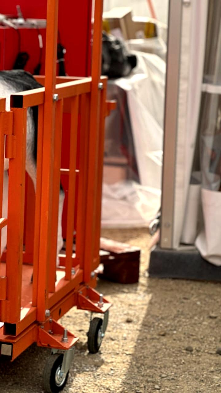 Ингушетия увеличила производство сельхозпродукции в 2025 году