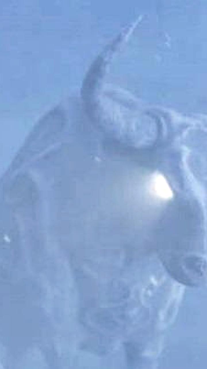 В Якутии отмечают день Быка холода: начало ослабления зимы