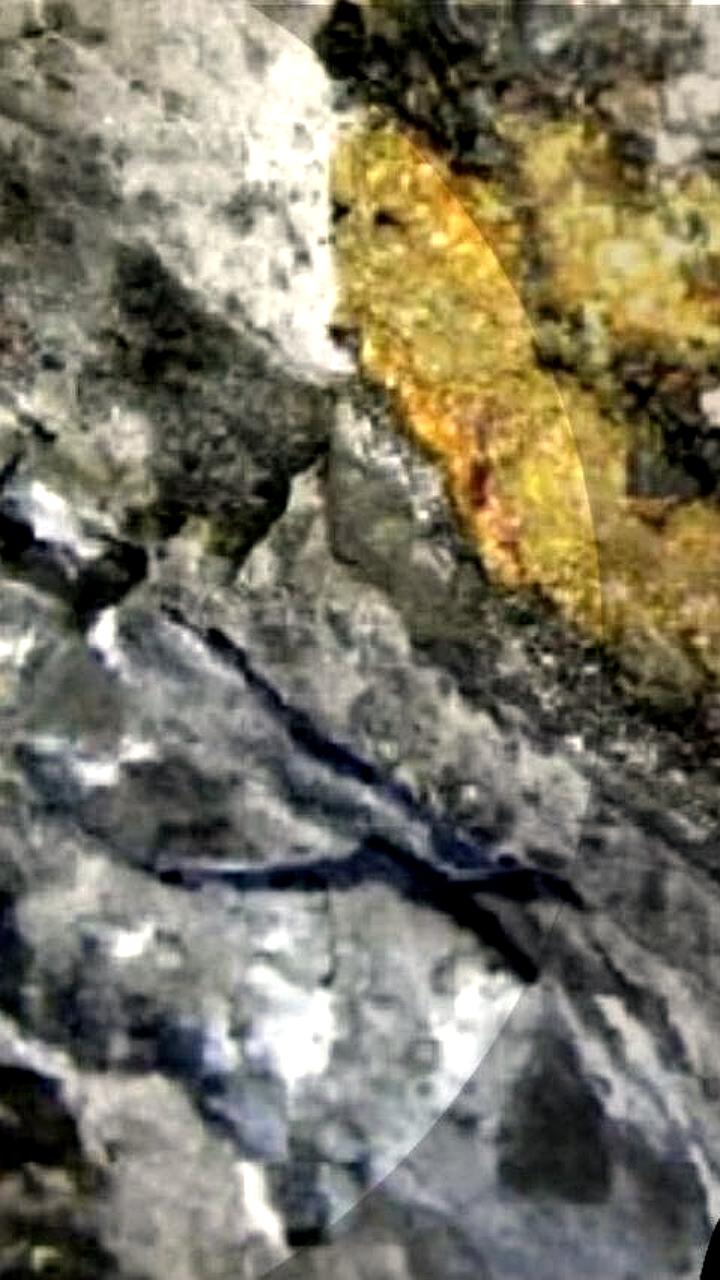 Росатом удвоил добычу золота в Якутии в 2025 году