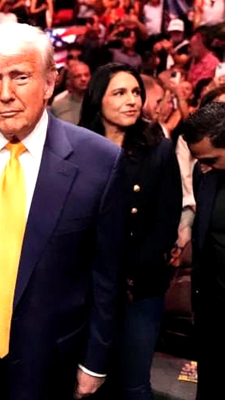 Трамп анонсировал строительство стадиона на 100 000 мест для турнира UFC рядом с Белым домом