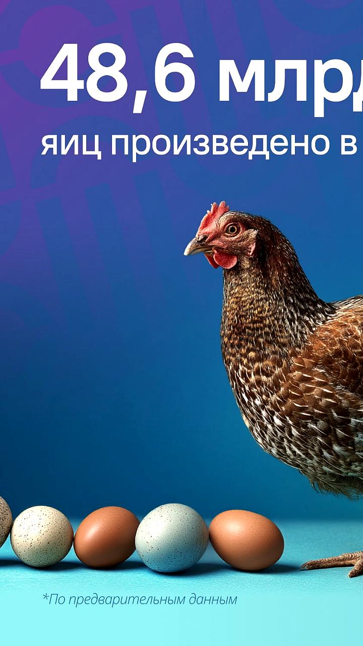 Россия значительно увеличила экспорт молочной продукции в ОАЭ в 2025 году