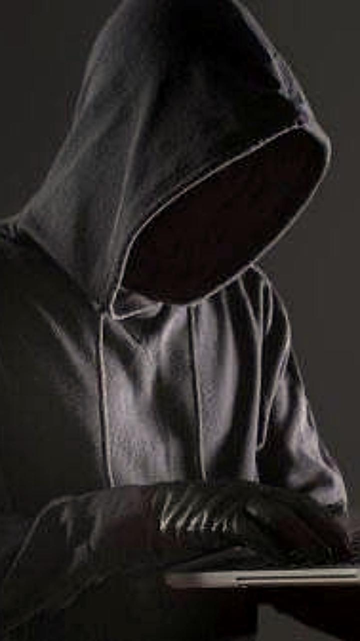 МВД предупреждает о мошенниках, рассылающих вирусы под видом рабочих приложений