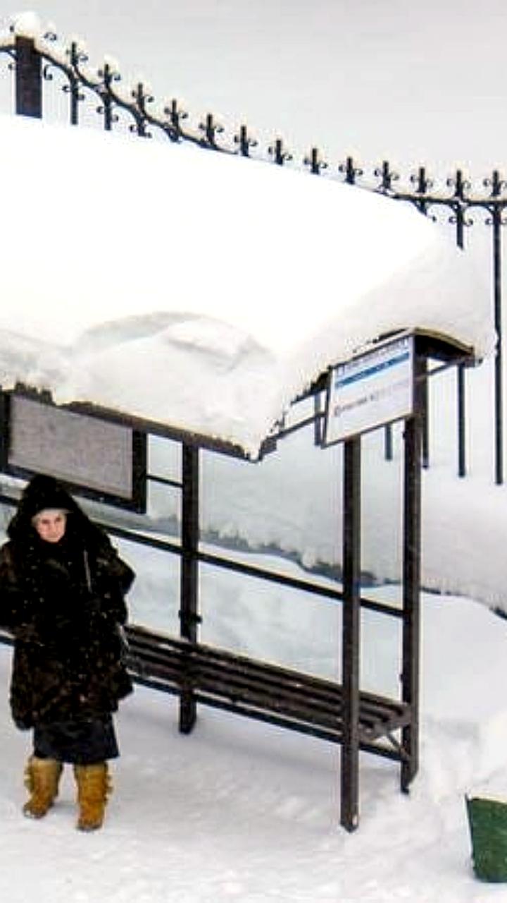 Мать двоих детей арестована в Москве за нецензурную брань на остановке