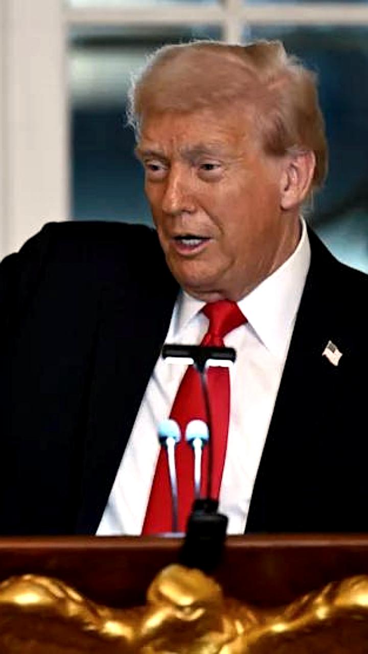 Трамп представил проекты Триумфальной арки в Вашингтоне к 250-летию независимости США