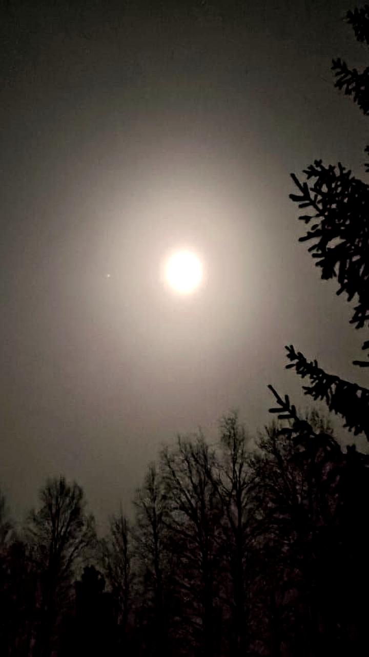 Аварийное отключение электроэнергии затронуло Пинежский и Холмогорский районы Архангельской области