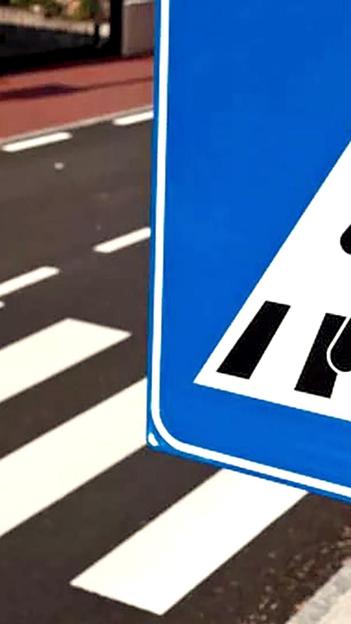 Улучшение безопасности пешеходных переходов возле школ Владивостока