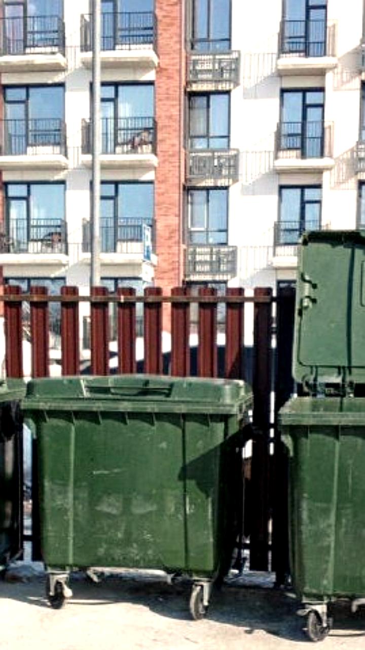 Проблемы с вывозом мусора в Домодедово: меры по улучшению ситуации