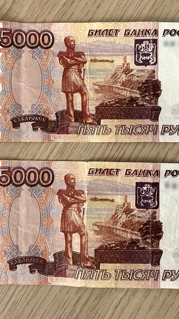 В Новосибирске осуждён фальшивомонетчик за изготовление поддельных долларов