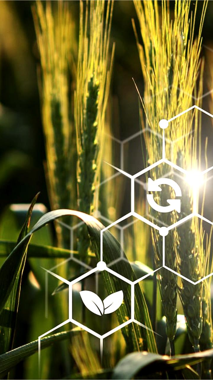 Цифровизация АПК в России: потенциал роста прибыли до 1,5 трлн рублей к 2030 году