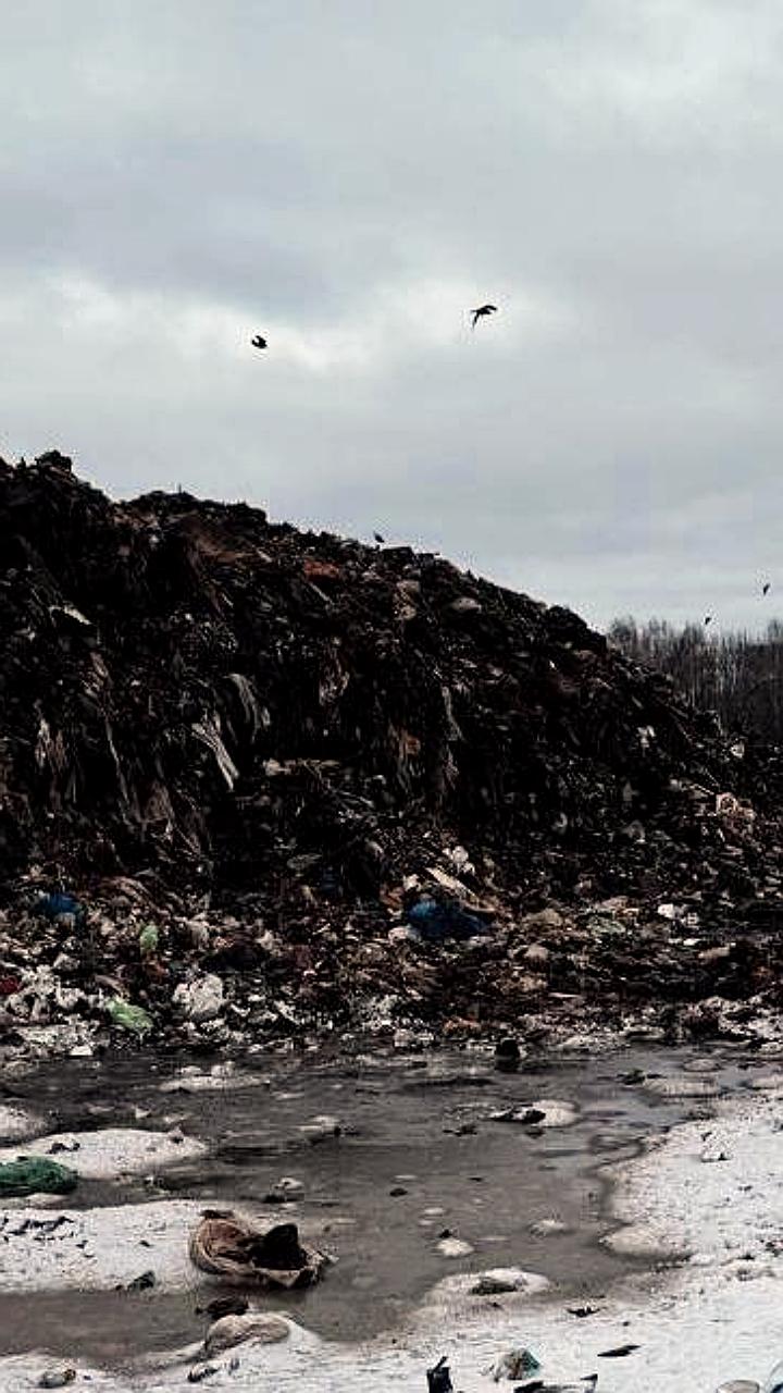 Кстовский суд приостановил работу полигона ТБО на 45 суток из-за нарушений