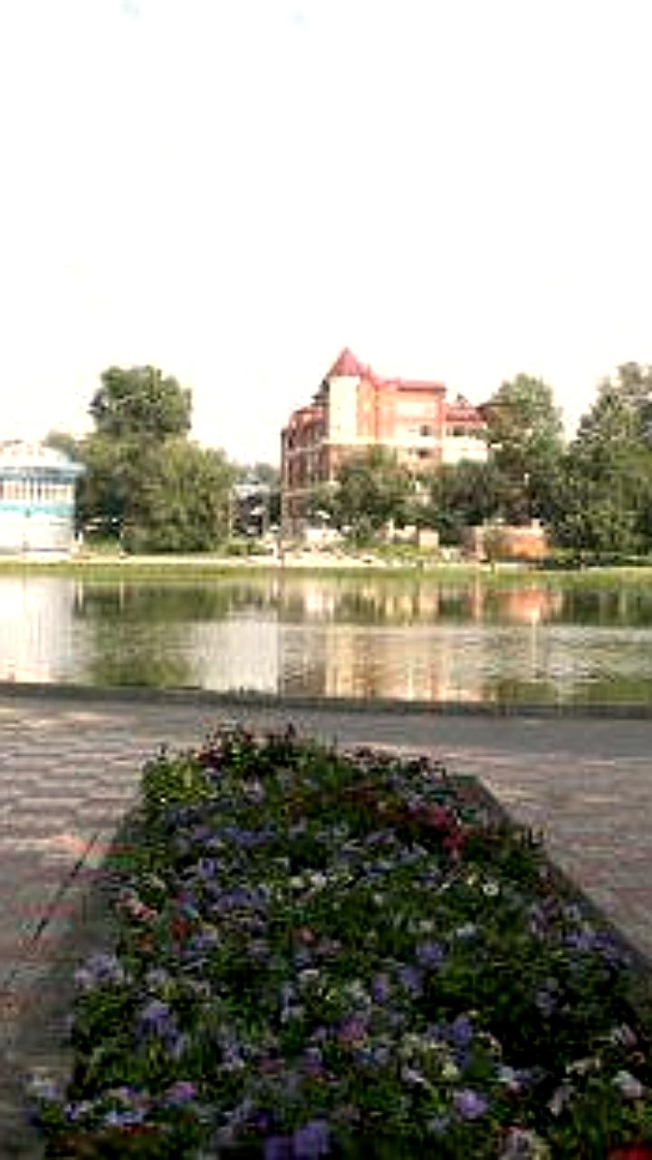 Томское УФАС исключило ООО Бизбренд Сибирь из госзакупок на два года за нарушения контрактов