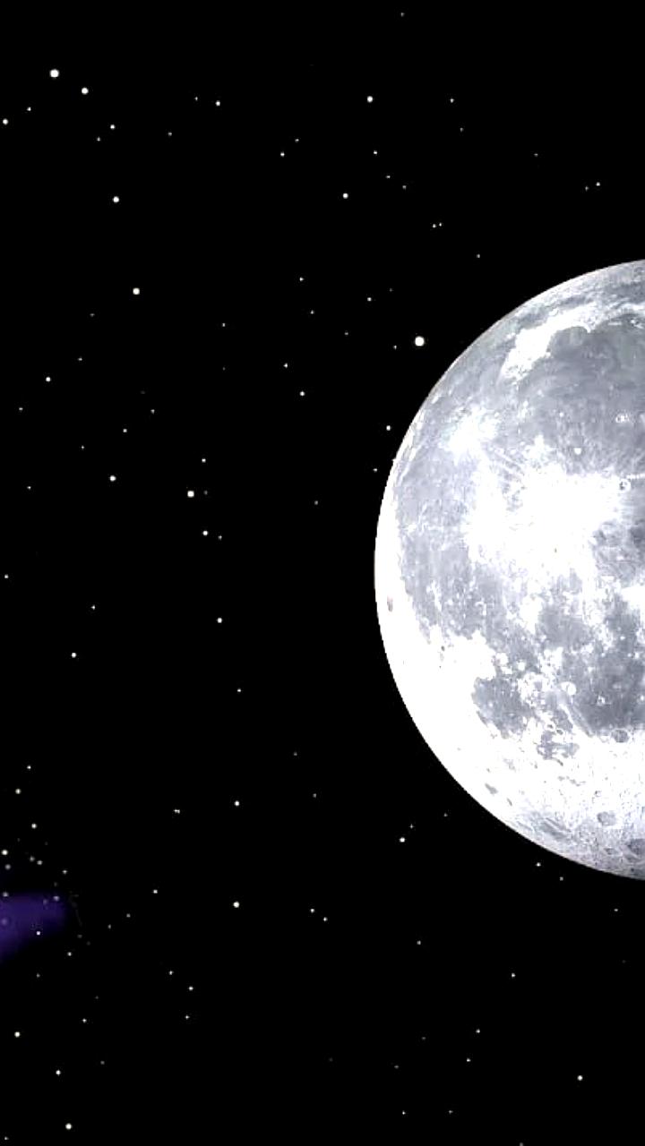 Первая бабочка вылупилась в космосе благодаря китайским ученым