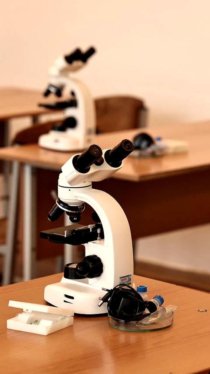 Милонов призывает к психиатрическому обследованию школьников на фоне нападений