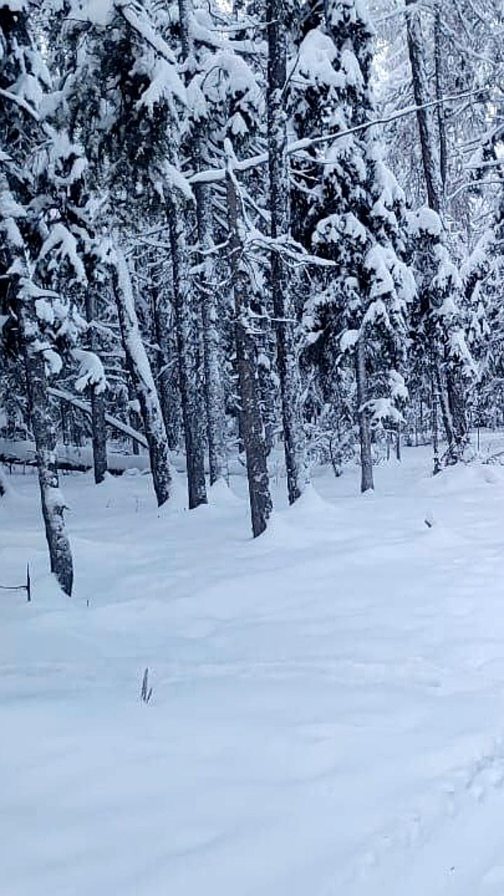 Спасатели нашли тело пропавшего мужчины на Вилюйском тракте в Якутске