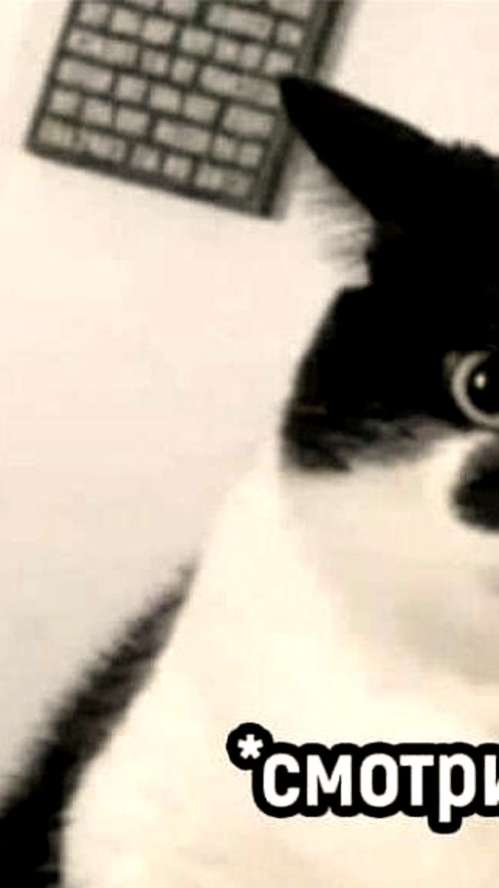 РПЦ предлагает запретить матерщинникам занимать высокие госдолжности