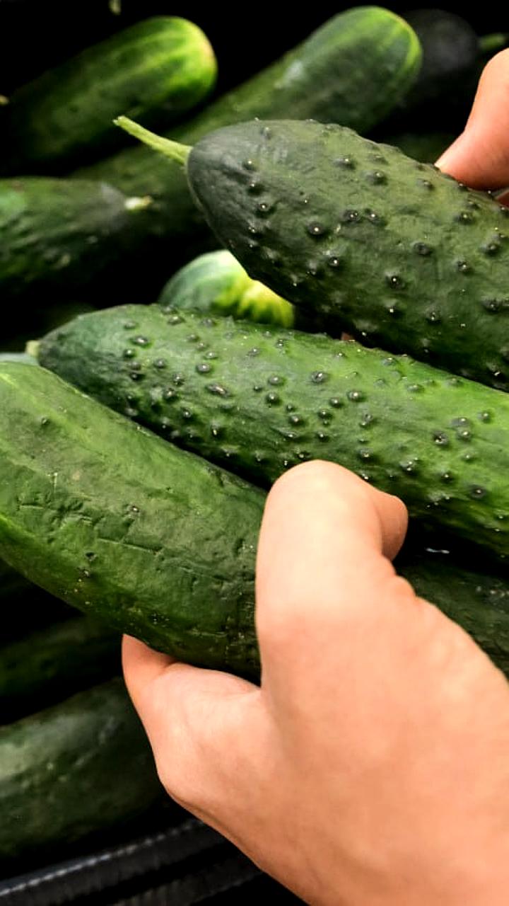 В Якутии завершена доставка более 110 тонн овощей в арктические улусы