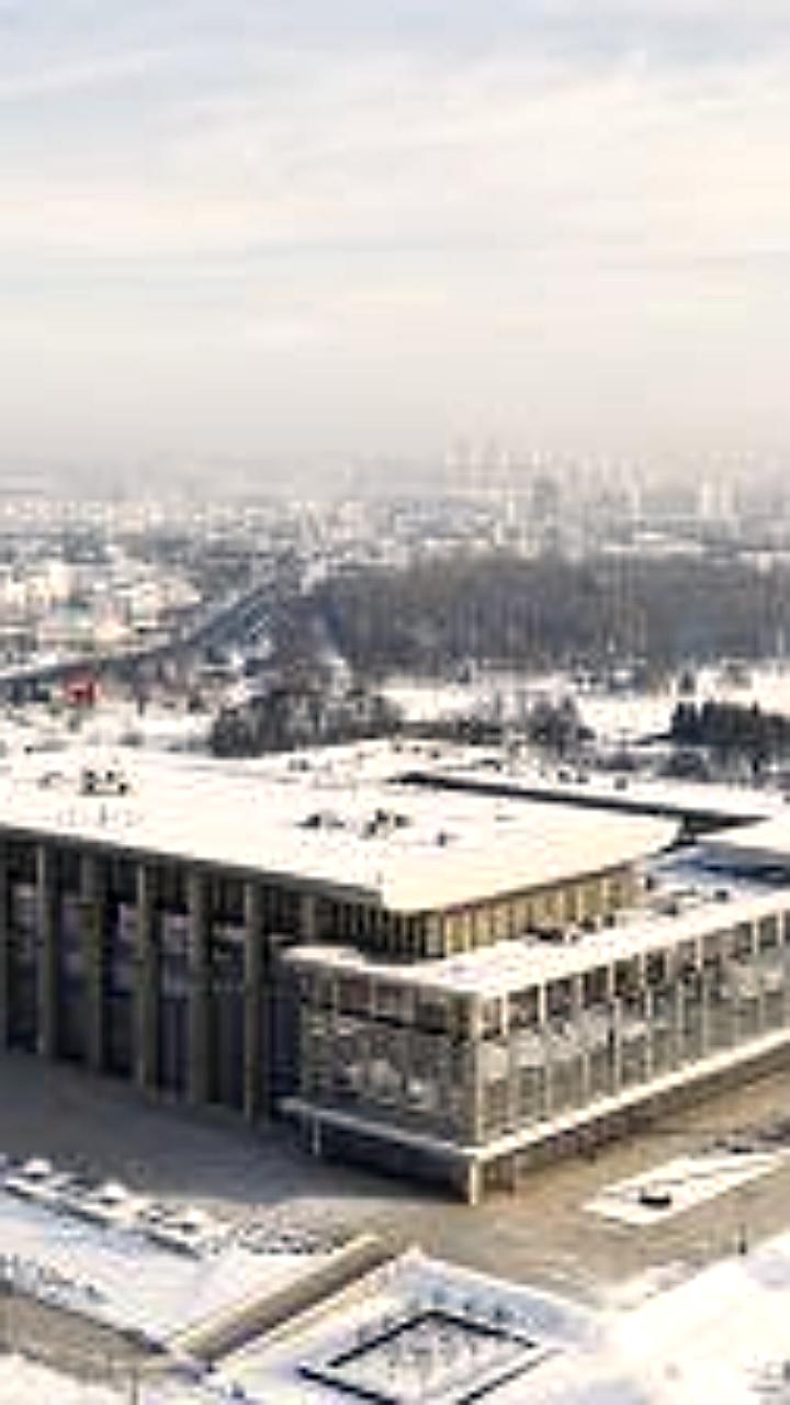 Александр Лукашенко обсудил меры по устранению последствий морозов с министром Вадимом Синявским