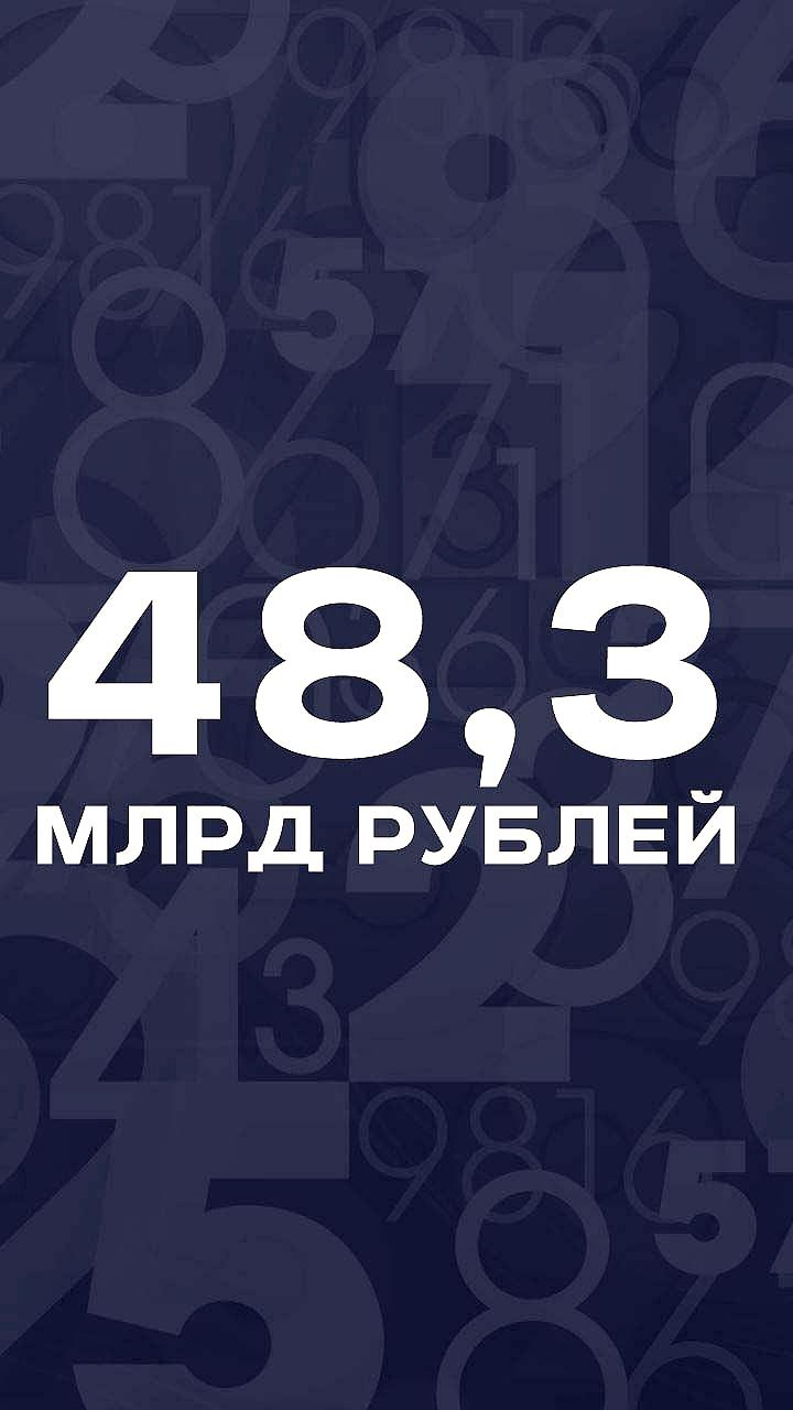 Объем закупок у самозанятых достиг 48,3 млрд рублей в 2025 году