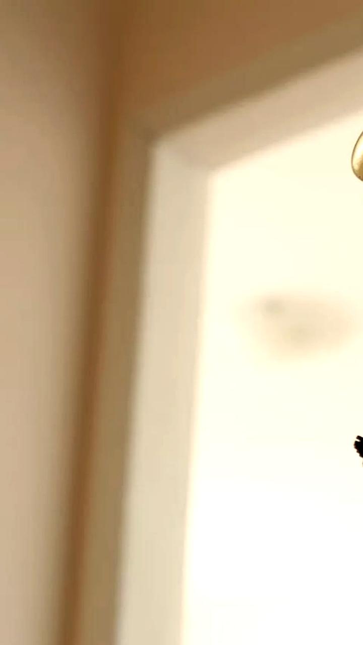 Прогноз: Цены на вторичное жилье в России снизятся к 2026 году