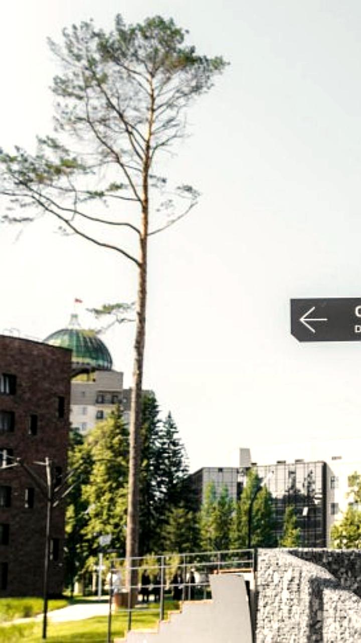 Завершение строительства кампуса НГУ в Новосибирске запланировано на 2026 год