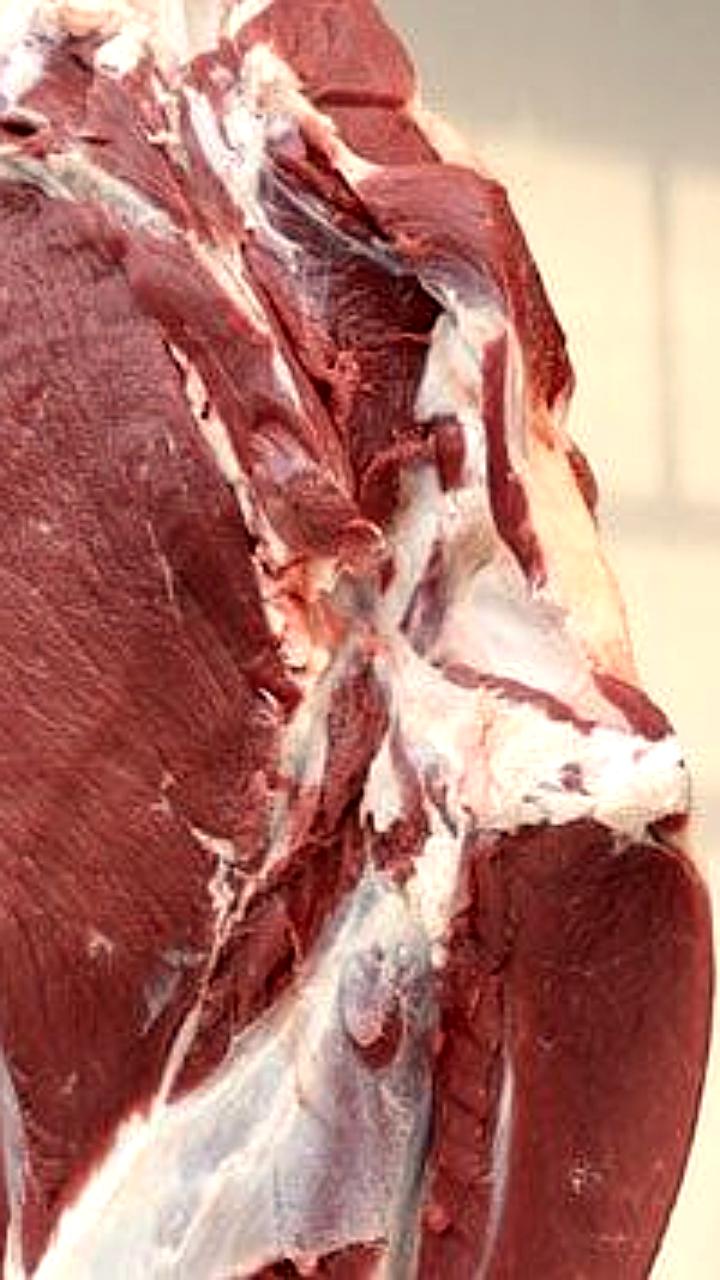 Узбекистан приостановил импорт животных и птиц из Индии из-за вируса Нипах