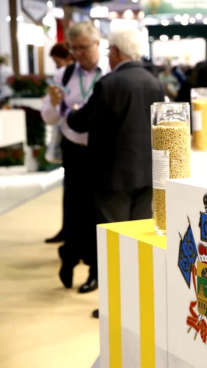 Кубань выделит 80 миллионов рублей на создание гибридов яровых культур в рамках нацпроекта