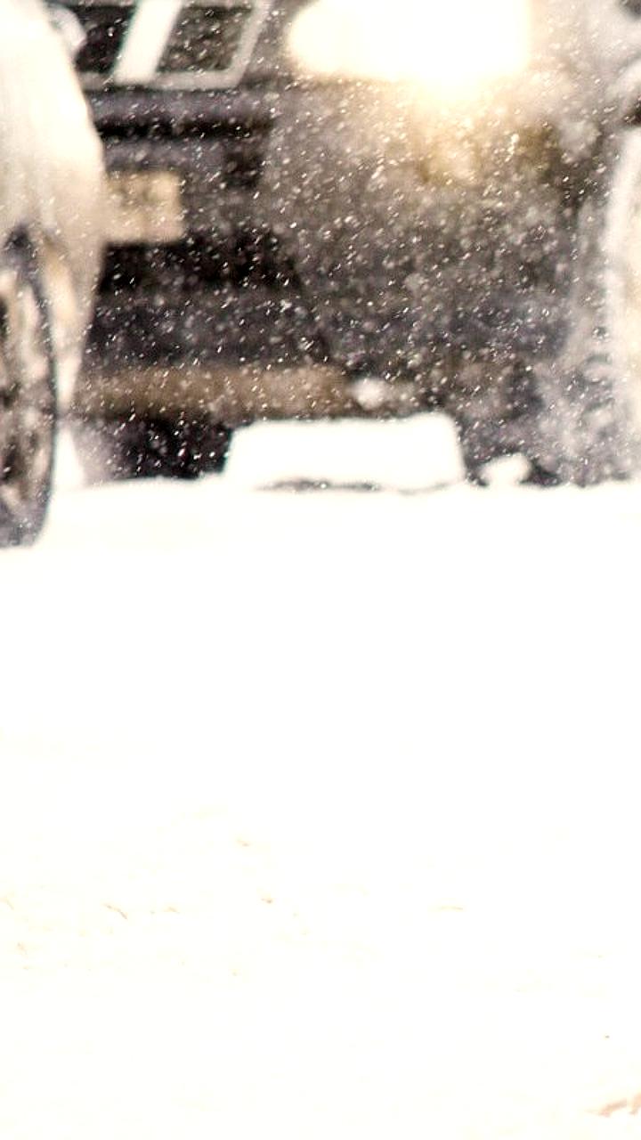 Прокуратура начала проверку после нападения бродячей собаки на школьника в Заводском