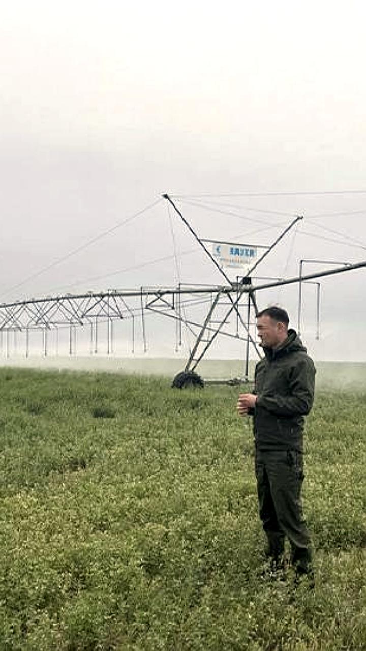 Забайкальский край и Калмыкия достигли успехов в вовлечении сельхозземель в оборот