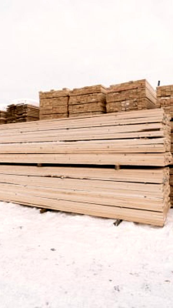 Архангельская и Коми области увеличивают экспорт лесопродукции