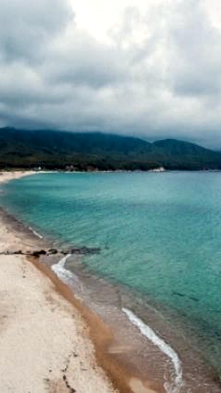 Прокуратура Приморья оспорила незаконное предоставление земли с акваторией Японского моря