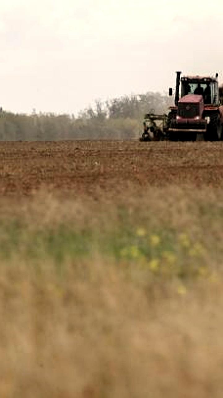 Бразилия вновь начала закупки российской пшеницы в январе 2024 года